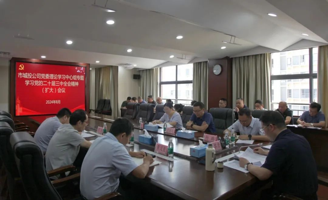 市城投公司召開黨委理論學習中心組（擴大）會議專題學習黨的二十屆三中全會精神